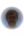 Walters Avatar